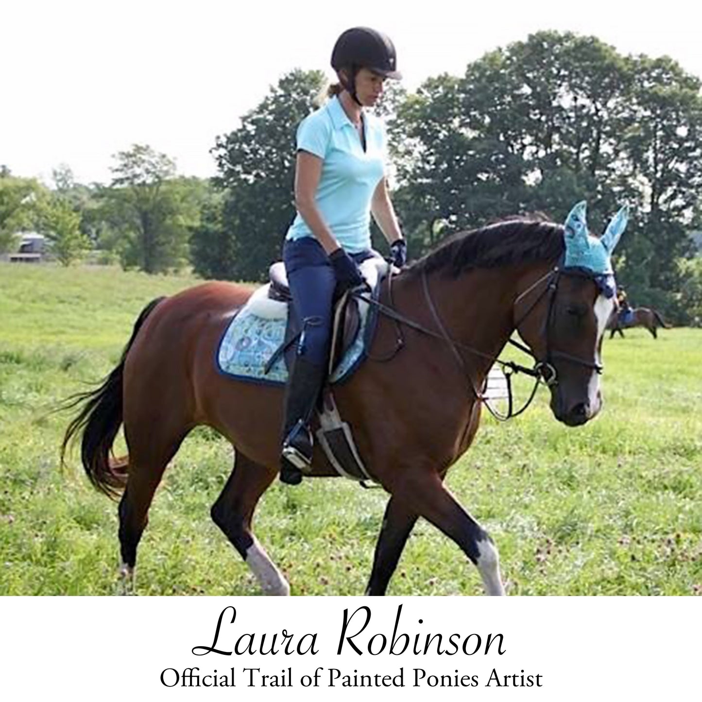 Lakota - Blue Ribbon Edition