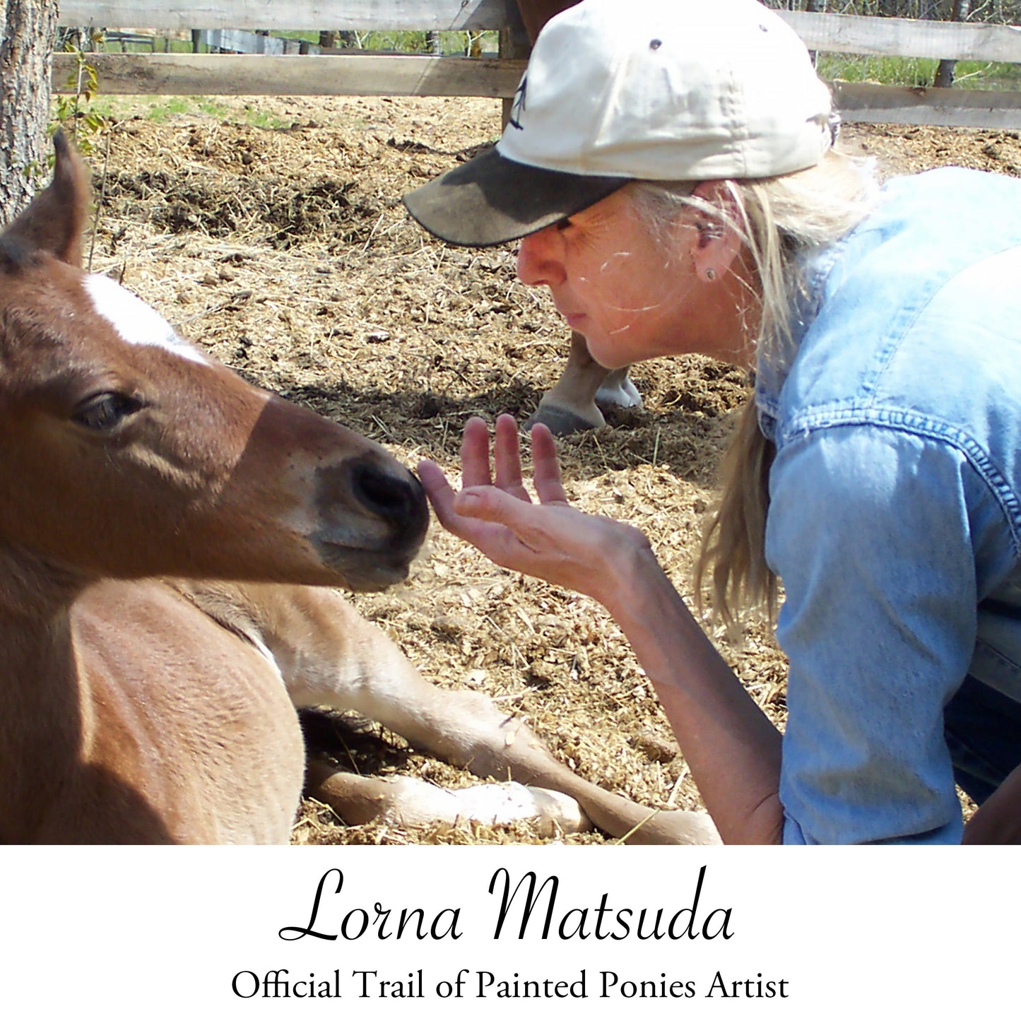 Cozy Toes - Blue Ribbon Edition - 1E/0018